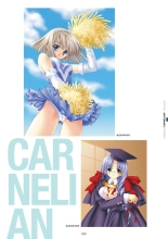 Megastore COVER ILLUSTRATIONS : page 14