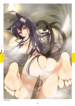 Megastore COVER ILLUSTRATIONS : page 115