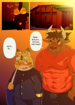 Muscular Bull Teacher & Chubby Tiger Student 1 : page 13