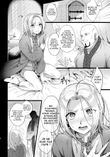 Niedenka Omnibus page 8