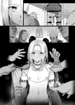 Niedenka Omnibus page 48