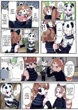 Panda Harem : page 1