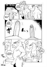 Pelican and White-tailed Eagle : page 6