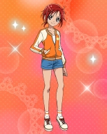 Pretty Cure Connection Puzzle Card List : page 176