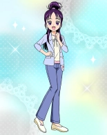 Pretty Cure Connection Puzzle Card List : page 211