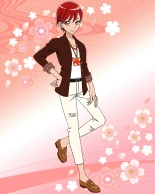 Pretty Cure Connection Puzzle Card List : page 246