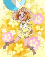 Pretty Cure Connection Puzzle Card List : page 252
