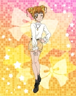 Pretty Cure Connection Puzzle Card List : page 255