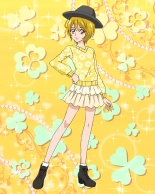 Pretty Cure Connection Puzzle Card List : page 311