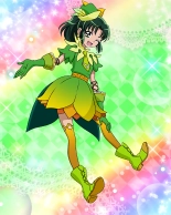 Pretty Cure Connection Puzzle Card List : page 406