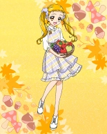Pretty Cure Connection Puzzle Card List : page 450
