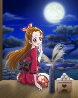 Pretty Cure Connection Puzzle Card List : page 470