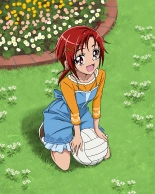 Pretty Cure Connection Puzzle Card List : page 471