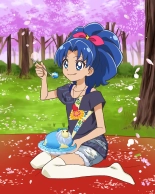 Pretty Cure Connection Puzzle Card List : page 485