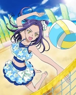Pretty Cure Connection Puzzle Card List : page 501