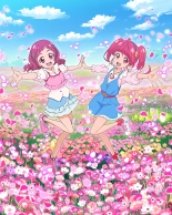 Pretty Cure Connection Puzzle Card List : page 512