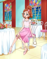 Pretty Cure Connection Puzzle Card List : page 516