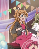 Pretty Cure Connection Puzzle Card List : page 520