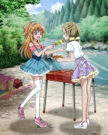 Pretty Cure Connection Puzzle Card List : page 521