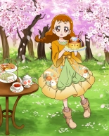 Pretty Cure Connection Puzzle Card List : page 529