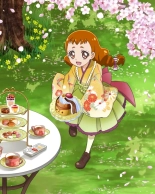 Pretty Cure Connection Puzzle Card List : page 530