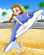 Pretty Cure Connection Puzzle Card List : page 531