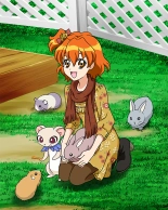 Pretty Cure Connection Puzzle Card List : page 551