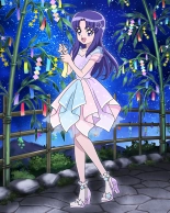 Pretty Cure Connection Puzzle Card List : page 557