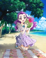Pretty Cure Connection Puzzle Card List : page 586