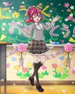 Pretty Cure Connection Puzzle Card List : page 610