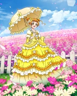 Pretty Cure Connection Puzzle Card List : page 700