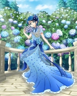 Pretty Cure Connection Puzzle Card List : page 724