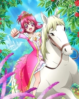 Pretty Cure Connection Puzzle Card List : page 740