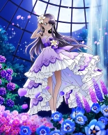 Pretty Cure Connection Puzzle Card List : page 765