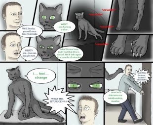 hentai Problem Cat
