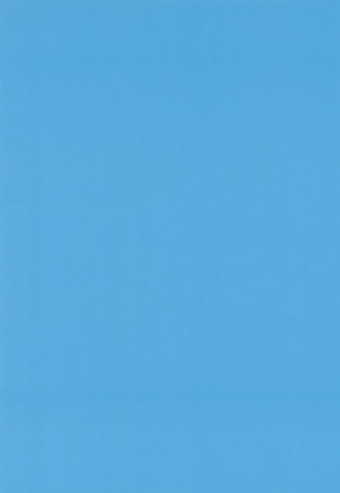 hentai blue archive