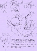 Sen?Tyou Zigen Densetu Rall  Riyon Oukoku Hen?1? : page 41