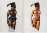 Sorayama - Complete Masterworks : page 13
