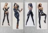 Sorayama - Complete Masterworks : page 76
