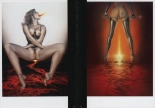 Sorayama - Complete Masterworks : page 98