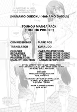 Touhou Manga Pack : page 29