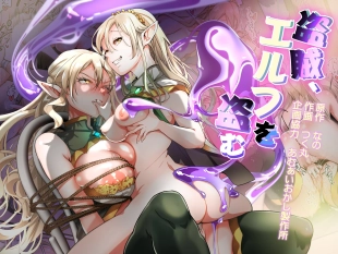 hentai Touzoku, Elf wo Nusumu