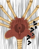 Uchuu Mushikan : page 6