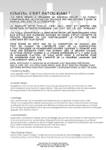 Vanishing Reality ~L'étoile d'argent pur, Lumiphonia~ : page 51