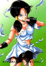 Videl LOVE : page 24