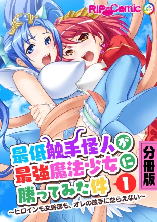 hentai 美女と淫獣 vol.4 ～魔法少女、墜ちる。コスを剥げば無力なただの雌～【フェチコレ！シリーズ】