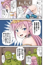 絶対に堕ちない姫騎士エルフ VS どんな女でも堕とすオーク軍団 フルカラー版 : page 7