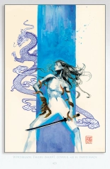 Witchblade: Takeru Manga : page 409