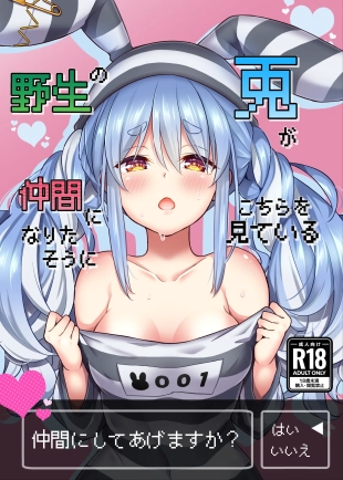 hentai Wild Rabbit Is Looking At You As If It Wants To Be Friends