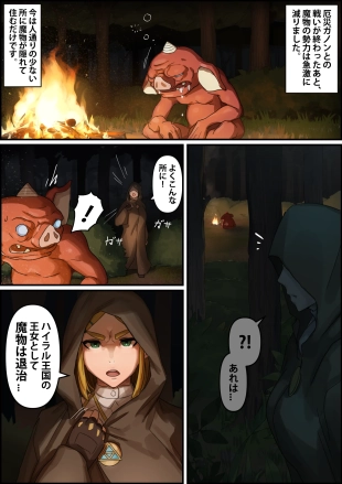 hentai the legend of zelda